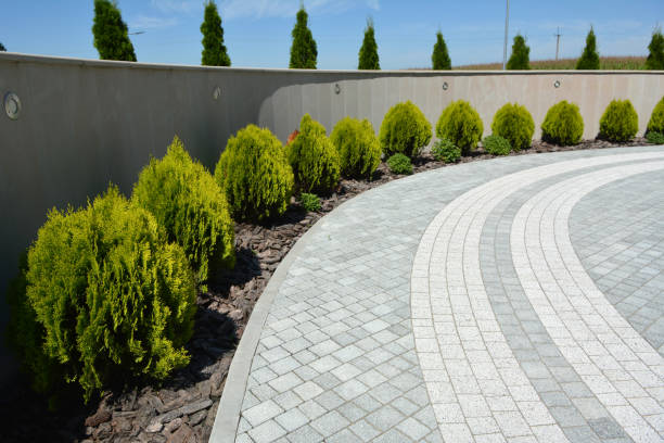 Best Decorative Driveway Pavers  in Fayetteville, TN