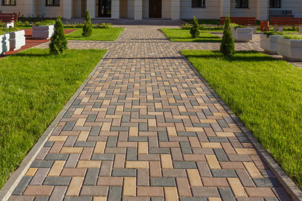 Best Driveway Paving Contractor  in Fayetteville, TN